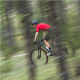 MAILLOT M/C GOBIK CX PRO 21