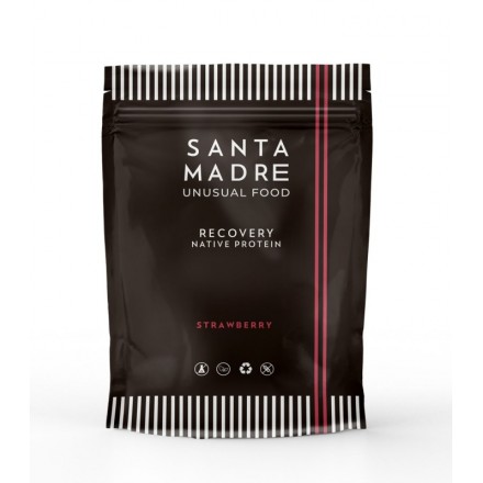 RECUPERADOR RAPIDO SANTA MADRE NATIVE PROTEIN 1.200GRS CHOCOLATE
