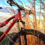 Bicicleta MTB Orbea Occam AM M10 2016, la hemos probado